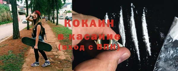 сатива Алексин