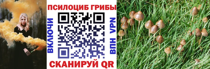 Псилоцибиновые грибы ЛСД  Купить где  Чёрмоз 